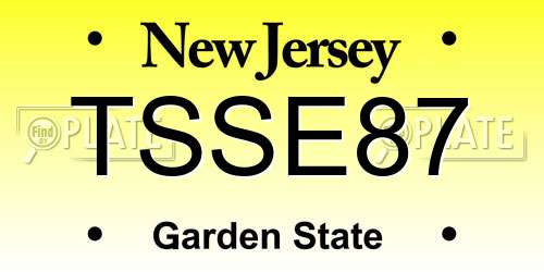 TSSE87 New Jersey License Plate