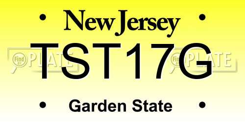 TST17G New Jersey License Plate