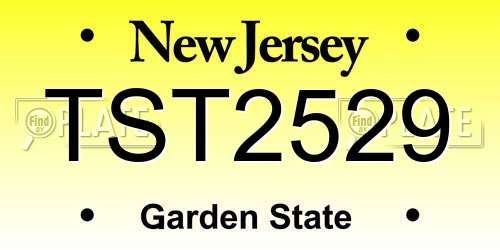 TST2529 New Jersey License Plate