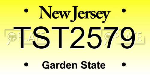 TST2579 New Jersey License Plate