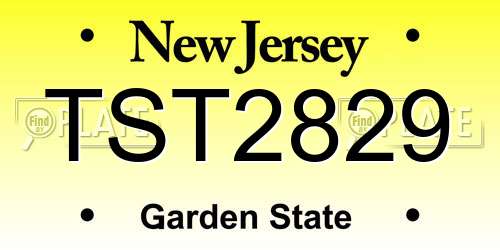 TST2829 New Jersey License Plate
