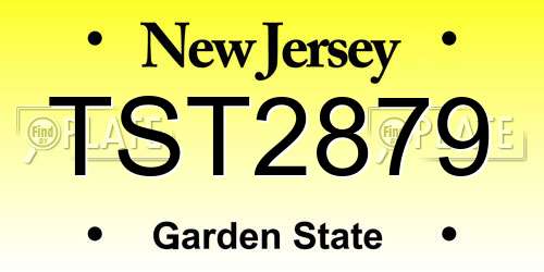 TST2879 New Jersey License Plate