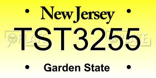 TST3255 New Jersey License Plate