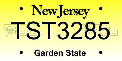 TST3285 New Jersey License Plate