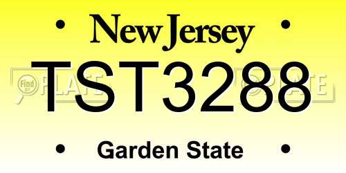 TST3288 New Jersey License Plate