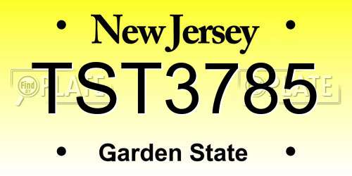 TST3785 New Jersey License Plate