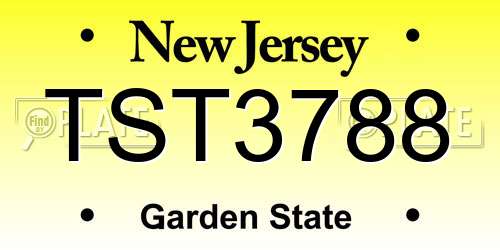 TST3788 New Jersey License Plate