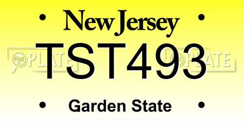 TST493 New Jersey License Plate