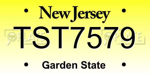 TST7579 New Jersey License Plate