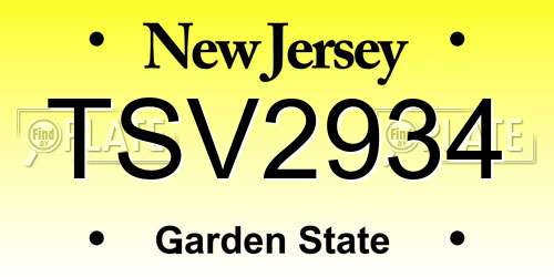 TSV2934 New Jersey License Plate