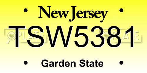 TSW5381 New Jersey License Plate