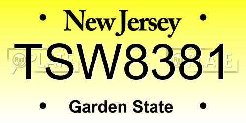 TSW8381 New Jersey License Plate