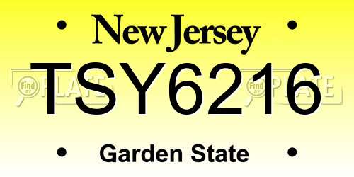 TSY6216 New Jersey License Plate