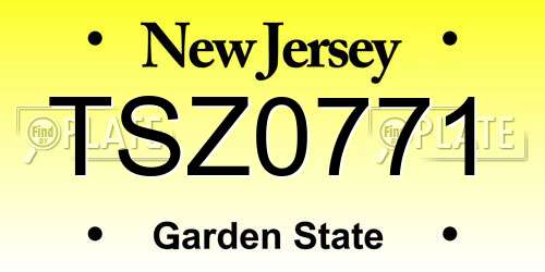 TSZ0771 New Jersey License Plate