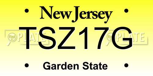 TSZ17G New Jersey License Plate