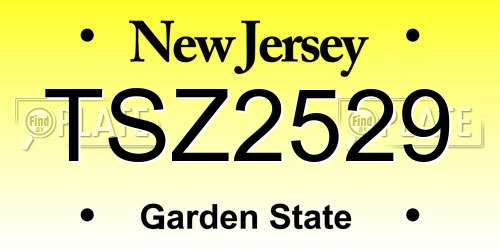 TSZ2529 New Jersey License Plate