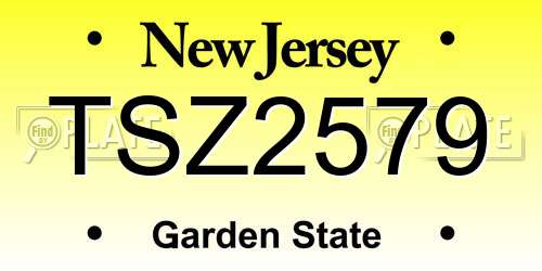 TSZ2579 New Jersey License Plate
