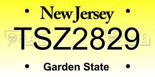 TSZ2829 New Jersey License Plate
