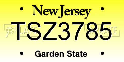TSZ3785 New Jersey License Plate