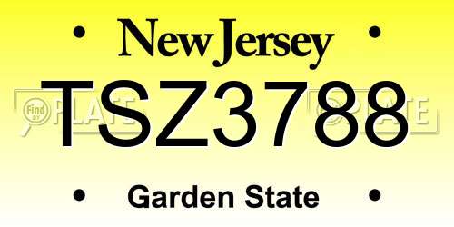 TSZ3788 New Jersey License Plate