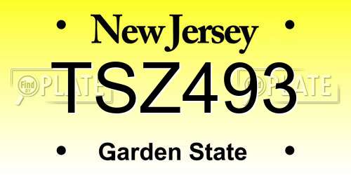TSZ493 New Jersey License Plate