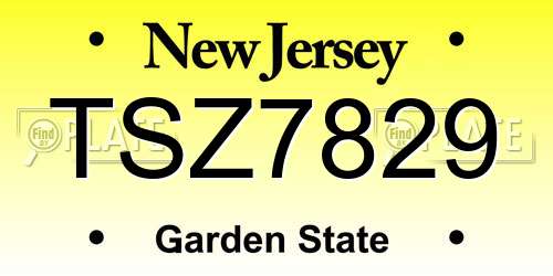TSZ7829 New Jersey License Plate