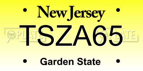 TSZA65 New Jersey License Plate