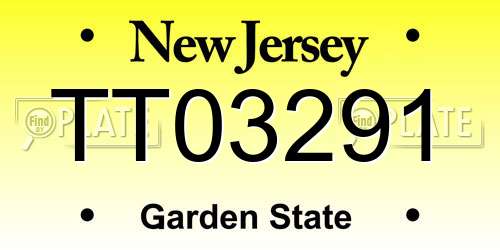 TT03291 New Jersey License Plate