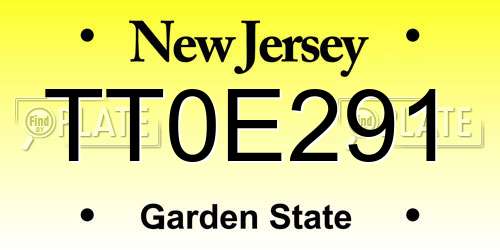 TT0E291 New Jersey License Plate