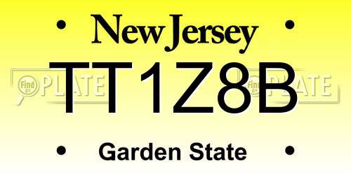 TT1Z8B New Jersey License Plate