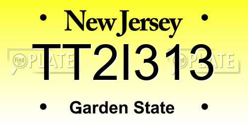 TT2I313 New Jersey License Plate