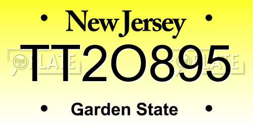 TT2O895 New Jersey License Plate