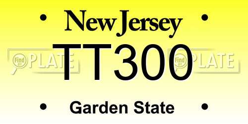 TT300 New Jersey License Plate