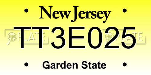 TT3E025 New Jersey License Plate