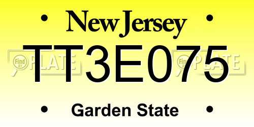 TT3E075 New Jersey License Plate