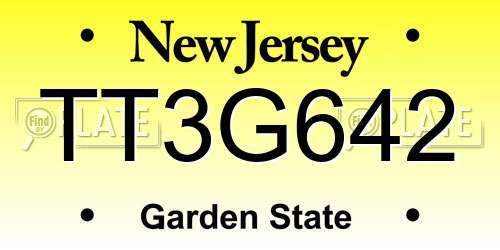 TT3G642 New Jersey License Plate