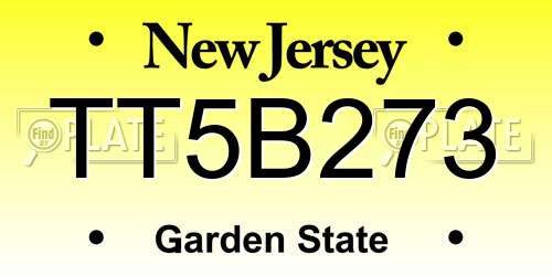 TT5B273 New Jersey License Plate