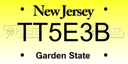 TT5E3B New Jersey License Plate