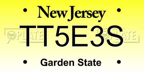 TT5E3S New Jersey License Plate