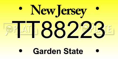 TT88223 New Jersey License Plate