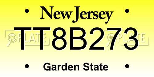 TT8B273 New Jersey License Plate