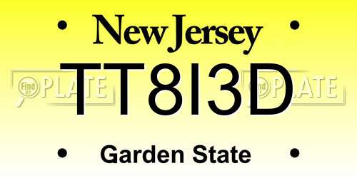 TT8I3D New Jersey License Plate