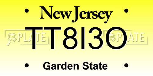 TT8I3O New Jersey License Plate