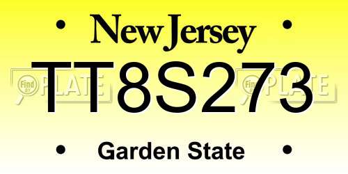 TT8S273 New Jersey License Plate