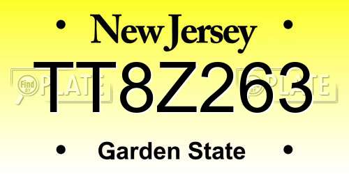TT8Z263 New Jersey License Plate