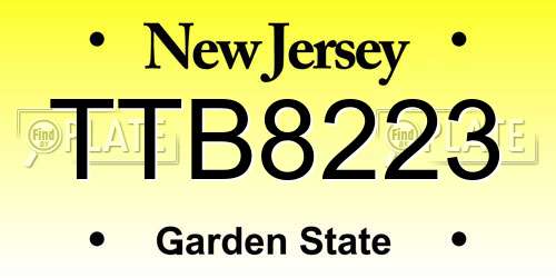 TTB8223 New Jersey License Plate