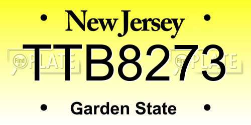 TTB8273 New Jersey License Plate