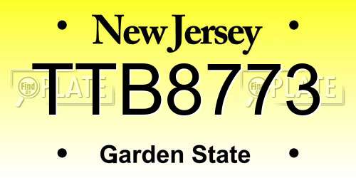 TTB8773 New Jersey License Plate