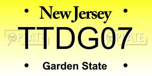 TTDG07 New Jersey License Plate