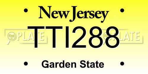 TTI288 New Jersey License Plate